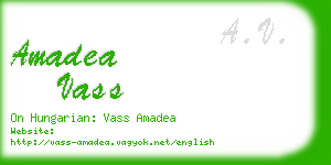 amadea vass business card